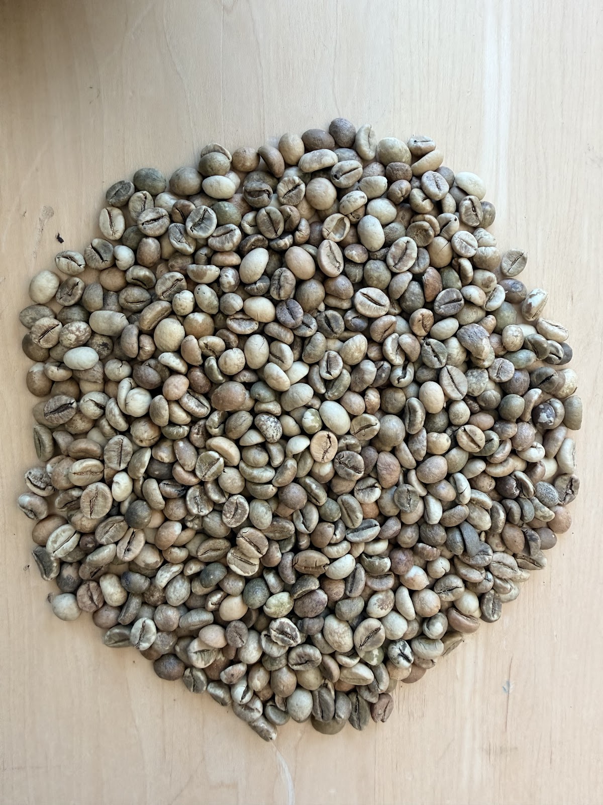 Grains de cafe vert du Cameroun avant torrefaction