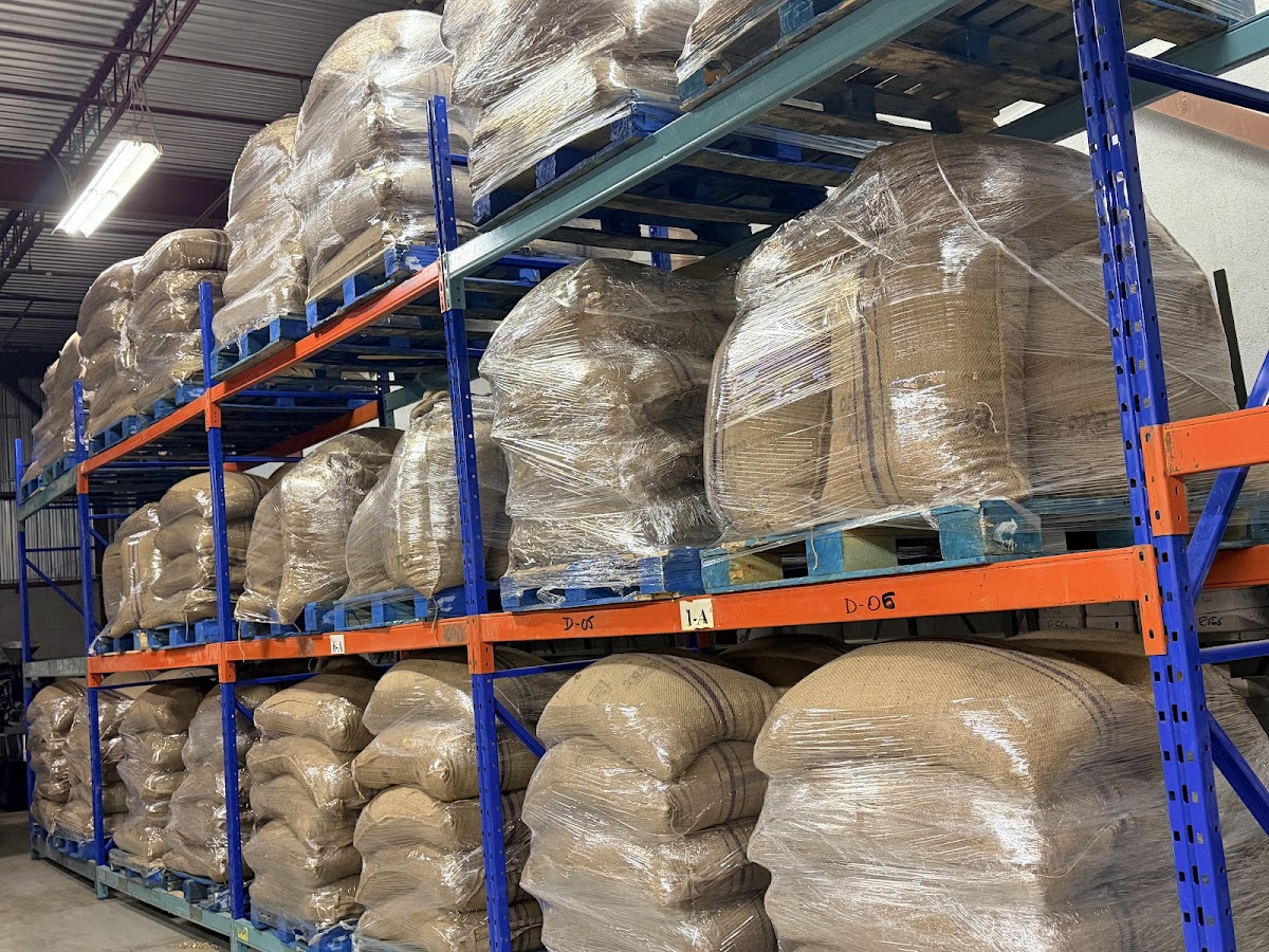 Sacs de cafe vert du Cameroun dans l'entrepot Nubia